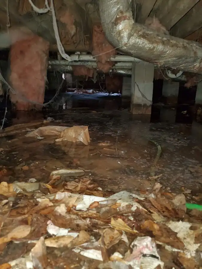 Crawl space flood assessment for Commercial Water Damage Restoration in Buena Park